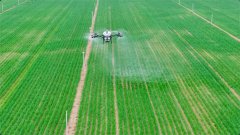 <b>准投放、不多不少</b>