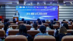 团队提炼实务阐发框架